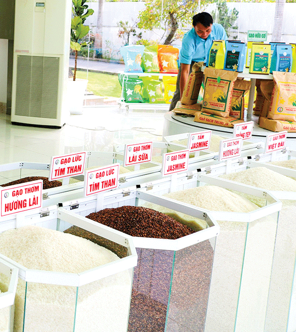 Tăng cường xuất khẩu sang thị trường châu Âu