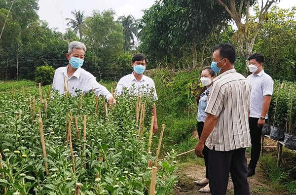 Bình Thủy cung ứng khoảng 300.000 giỏ hoa phục vụ Tết