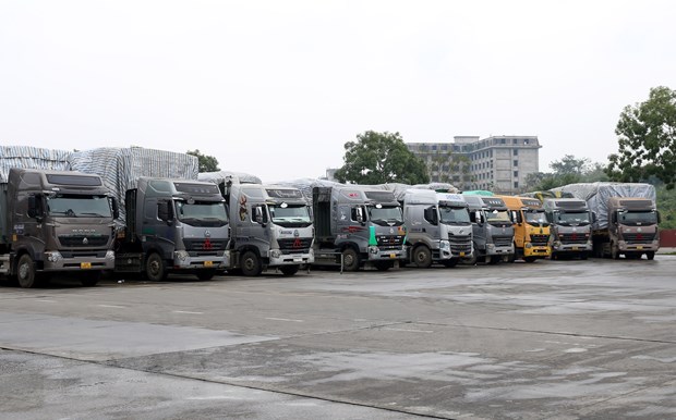 Nông sản Việt đến khi nào mới hết "phập phồng" đầu ra?