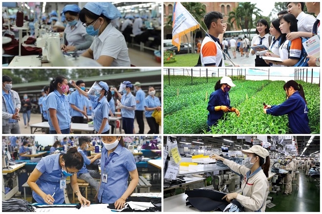 Hỗ trợ phục hồi doanh nghiệp, hợp tác xã, hộ kinh doanh. Ảnh: VGP