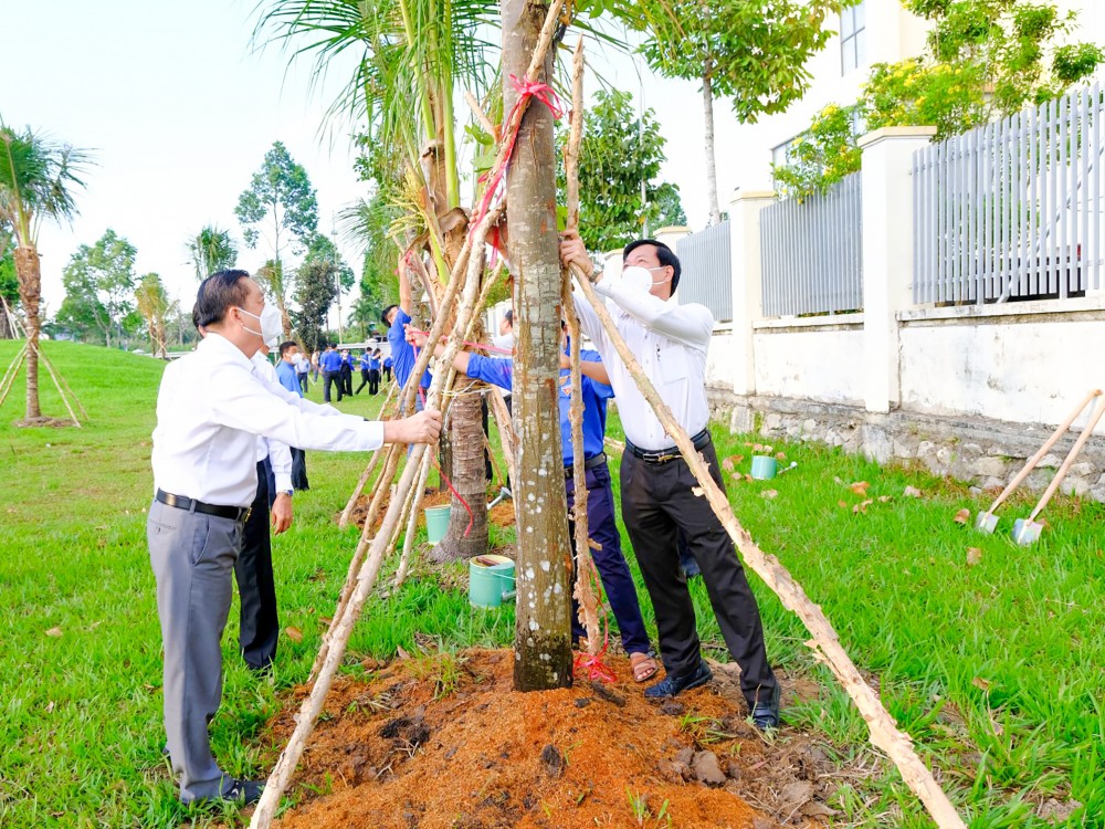 Lan tỏa phong trào “Tết trồng cây” - Báo Cần Thơ Online