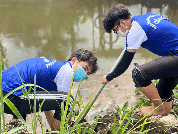 Ðội hình chuyên