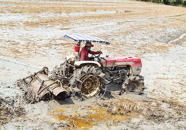 Chủ động giảm chi phí, nâng cao chất lượng sản phẩm