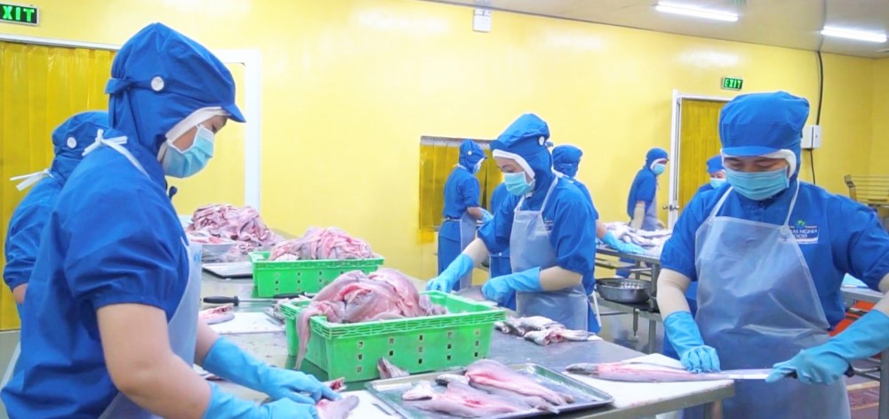 Hoạt động sản xuất tại Công ty CP thực phẩm Phạm Nghĩa.