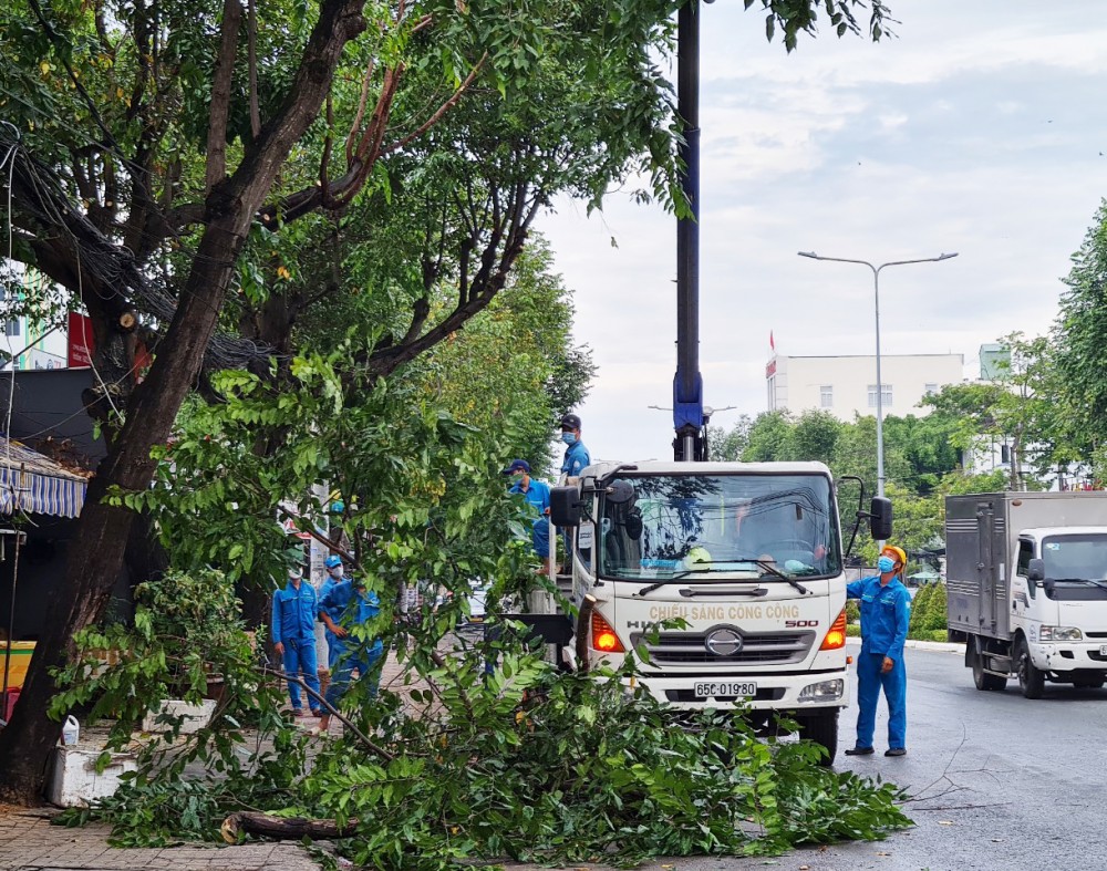 An toàn sản xuất, phát triển kinh doanh và ứng phó thiên tai Đơn vị chuyên môn cắt tỉa cây xanh trên vỉa hè thuộc địa bàn quận Ninh Kiều, hạn chế đổ ngã gây ảnh hưởng lưới điện trong mùa mưa bão.