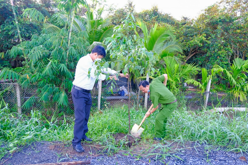 Hoạt động trồng cây xanh trên địa bàn huyện Phong Điền.