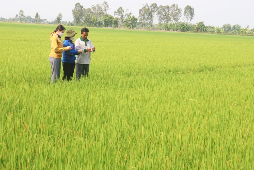 Quản lý an toàn thực phẩm nông lâm thủy sản