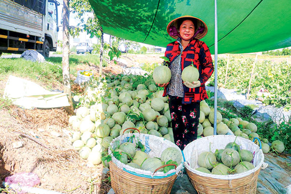 Quảng bá, tiêu thụ nông sản thông qua thương mại điện tử