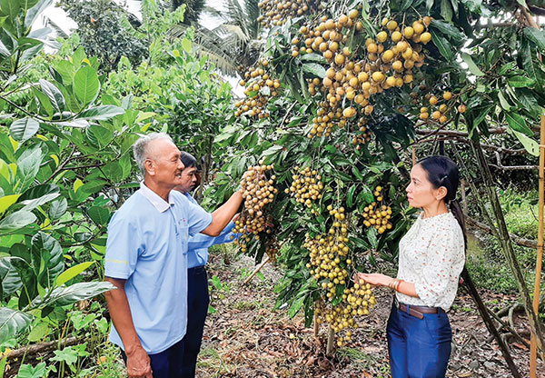 Huy động sức dân để chăm lo cho dân