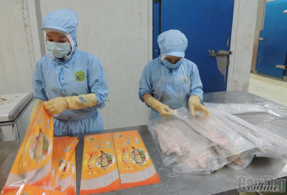Hoạt động sản xuất tại Công ty CP Thực phẩm Phạm Nghĩa.
