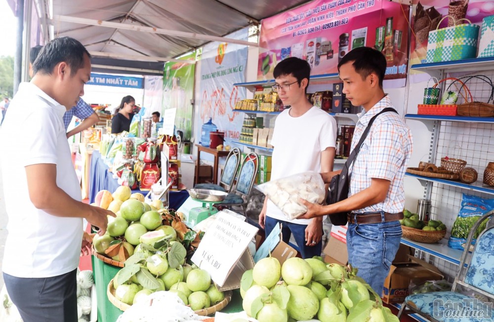 Hỗ trợ hợp tác xã liên kết sản xuất hàng hóa, nông sản đặc trưng 