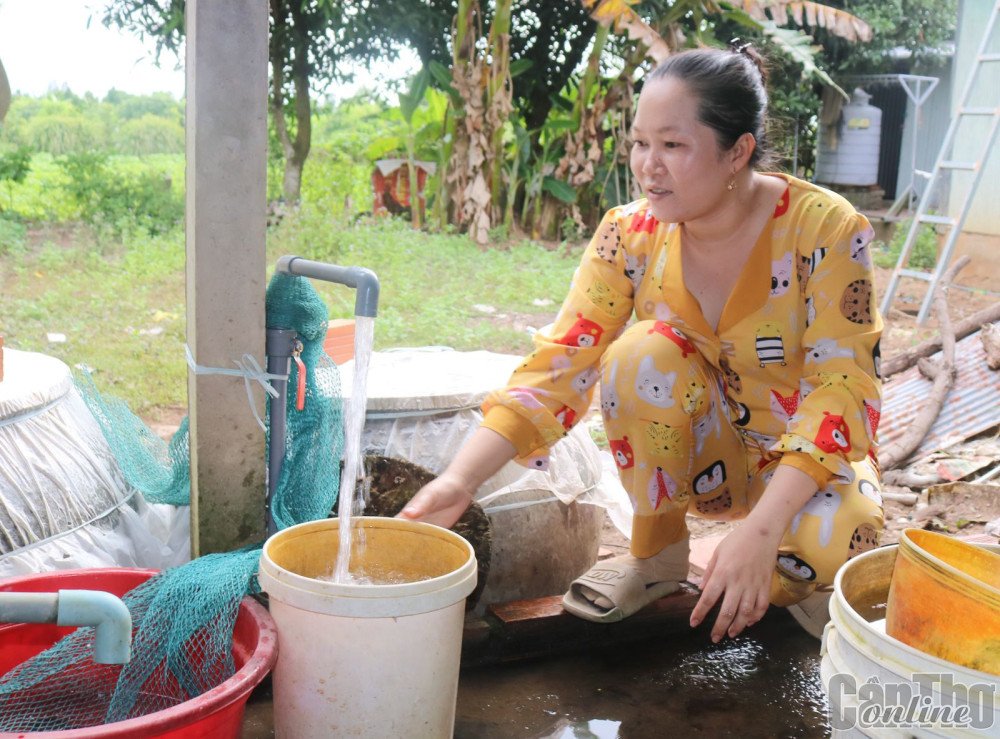 Sử dụng nước sạch tại gia đình chị Nguyễn Thị Thắm ở khu vực Tân phước, phường Tân Hưng.