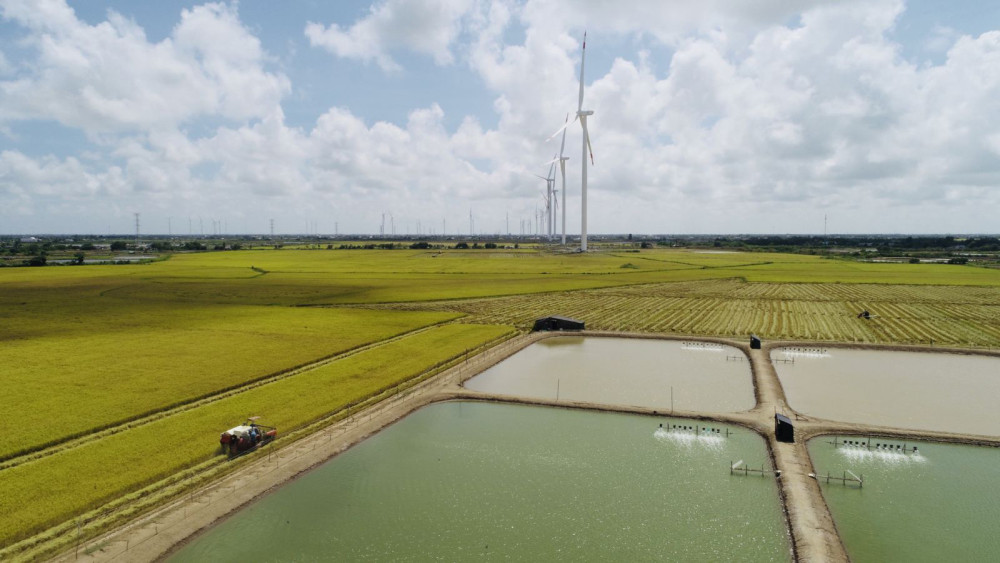 ĐBSCL có nhiều tiềm năng phát triển điện gió. Ảnh: P.T.CƯỜNG