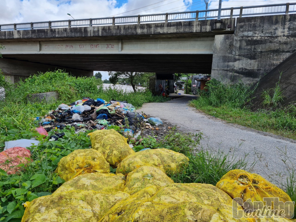 Rác thải sinh hoạt  vứt bừa bãi, tồn đọng  ô nhiễm môi trường gần cầu Cái Sâu, quận Cái Răng. Ảnh chụp lúc 10 giờ ngày 17-9.