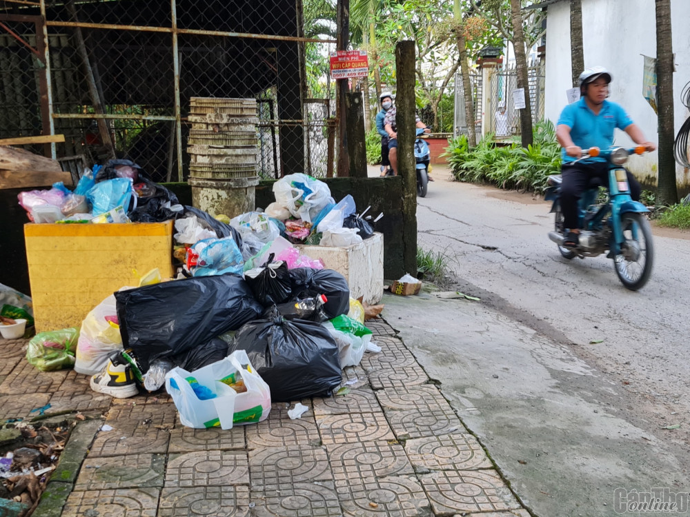 Người dân tập kết rác thải cặp đường giao thông tại khu vực Bình Phó B, phường Long Tuyền, quận Bình Thủy, lâu ngày không được đơn vị thu gom đến lấy. Ảnh chụp lúc 7 giờ ngày 17-9.