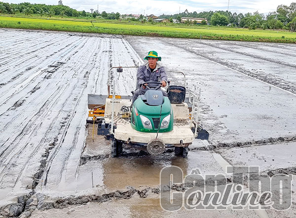 Cơ giới hóa để nâng cao hiệu quả gieo trồng lúa 