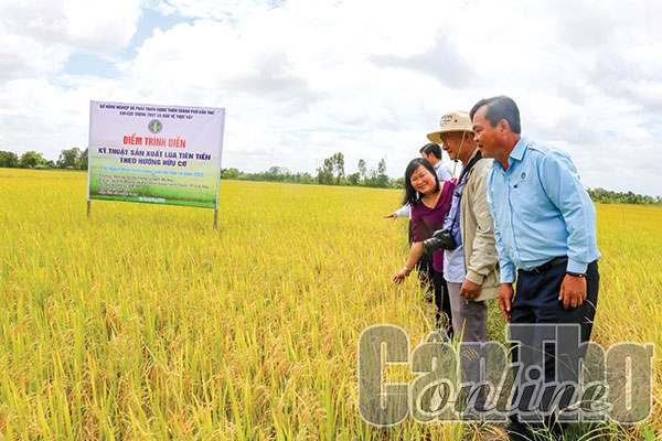 Nhiều tiềm năng phát triển sản xuất, tiêu thụ nông sản hữu cơ