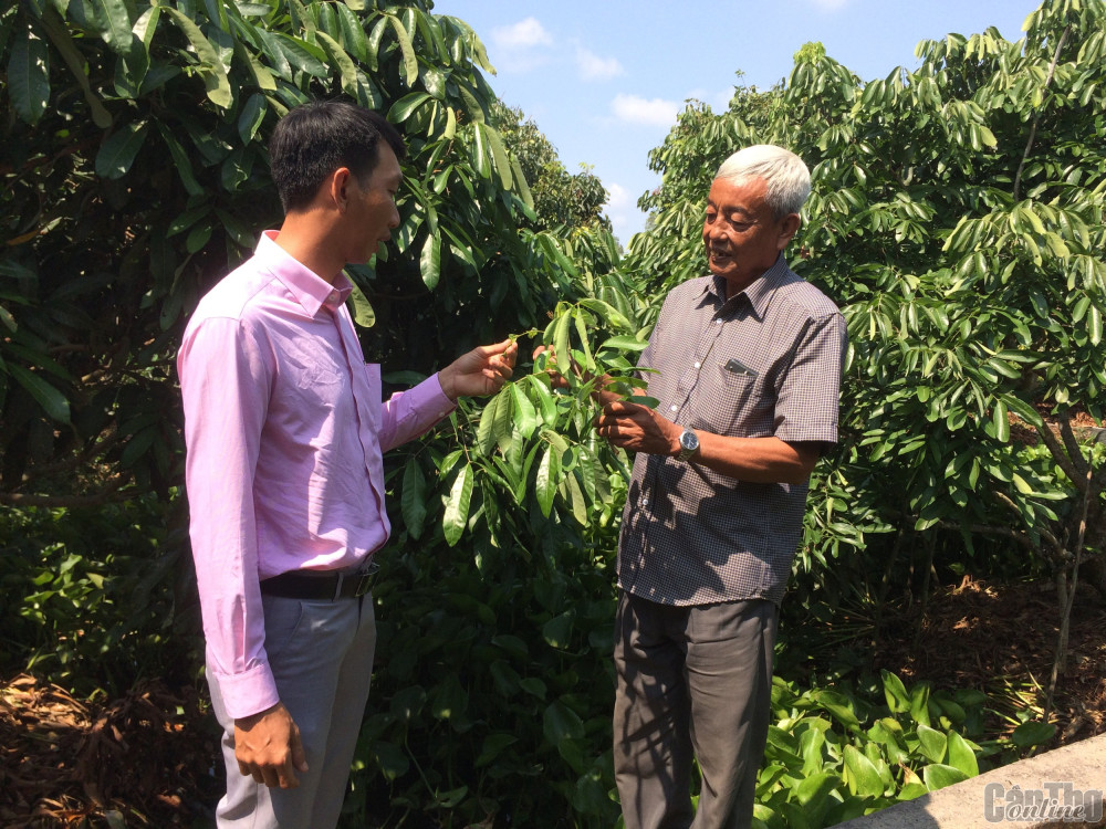 Phát huy vai trò chủ thể của hội viên,
nông dân trong phát triển kinh tế, xây dựng nông thôn mới, đô thị văn minh