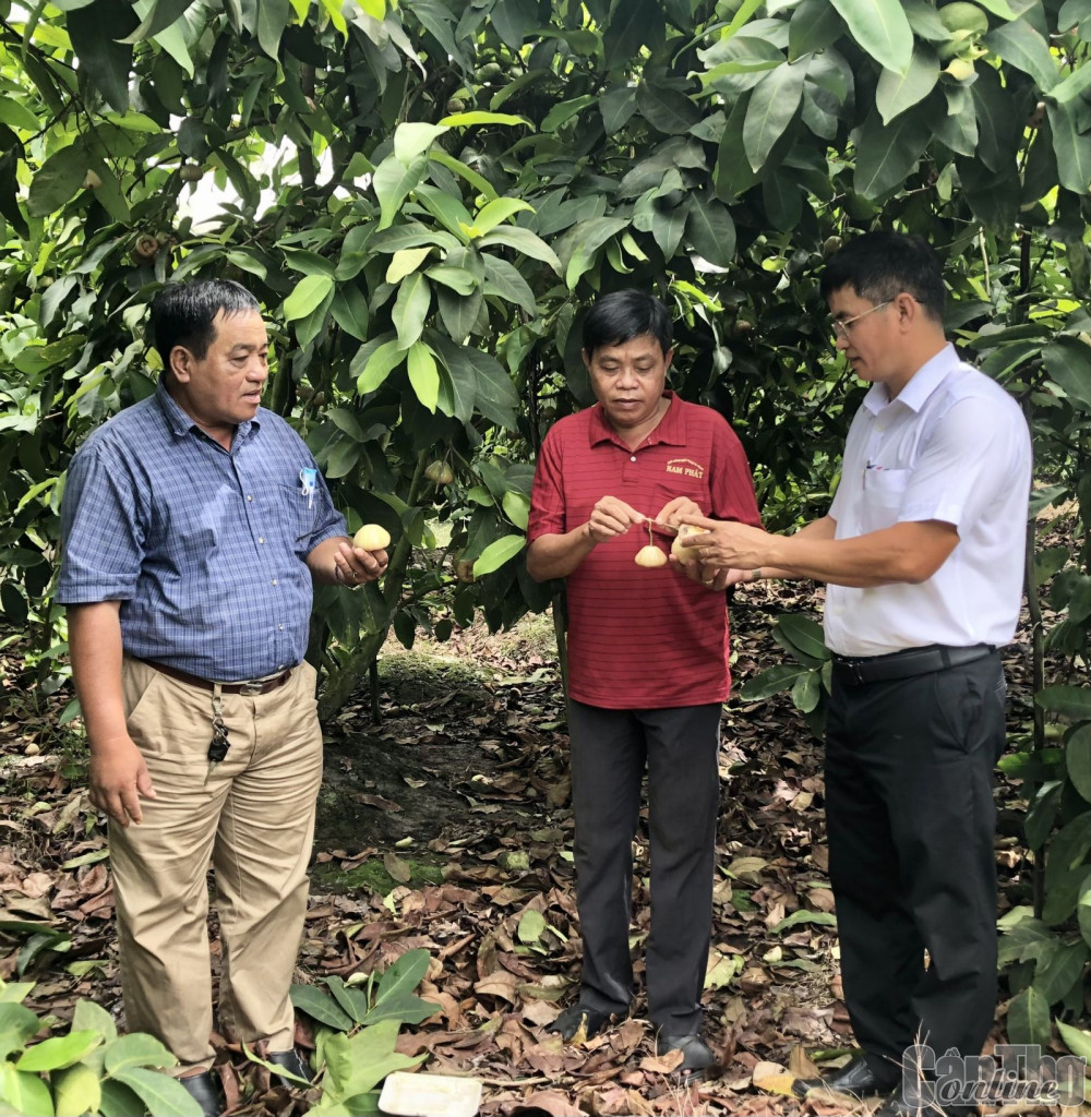 Làm cho dân quý, dân tin