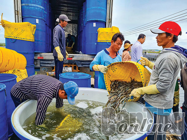 Gỡ khó để thủy sản phát triển 