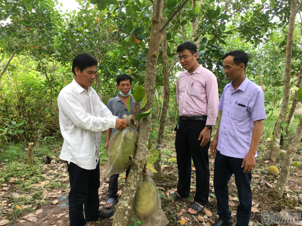 “Cầu nối” chuyển tải hiệu quả nguồn vốn tín dụng chính sách