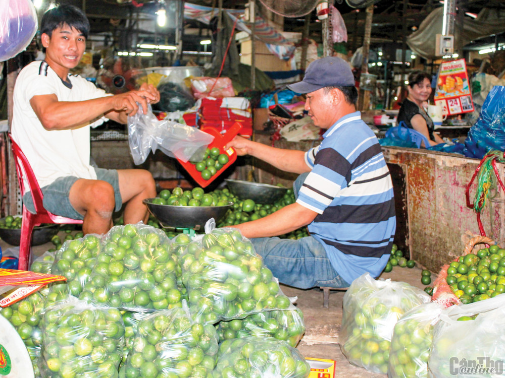 Mua bán chanh tại Nhà lồng 3, Trung tâm Thương mại Cái Khế, TP Cần Thơ.