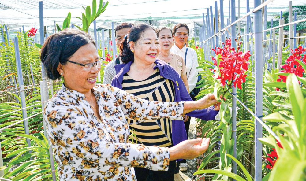 Cùng chia sẻ kinh nghiệm trồng lan mokara với hội viên, nông dân huyện Châu Thành.