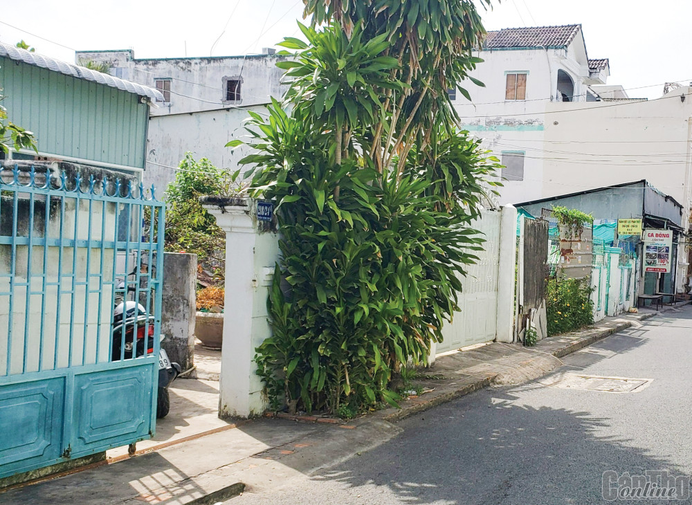 Phần đất bị ảnh hưởng Dự án đầu tư xây dựng công trình Trung tâm Văn hóa thể thao phường An Nghiệp.