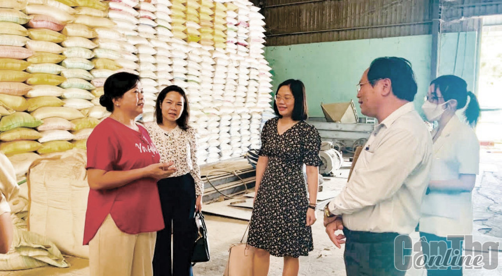 Vụ Tín dụng các ngành kinh tế, NHNN cùng NHNN Chi nhánh TP Cần Thơ khảo sát DN lĩnh vực xuất khẩu lúa gạo tại TP Cần Thơ.