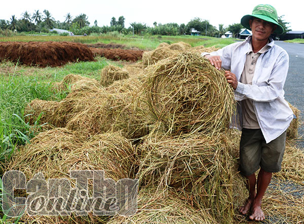 Rơm và hành trình mang lại giá trị cao