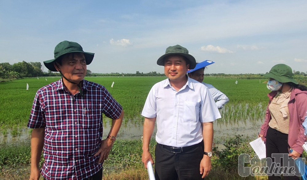 Khảo sát tình hình trật tự, an toàn giao thông tại các nút giao thông ở huyện Thới Lai