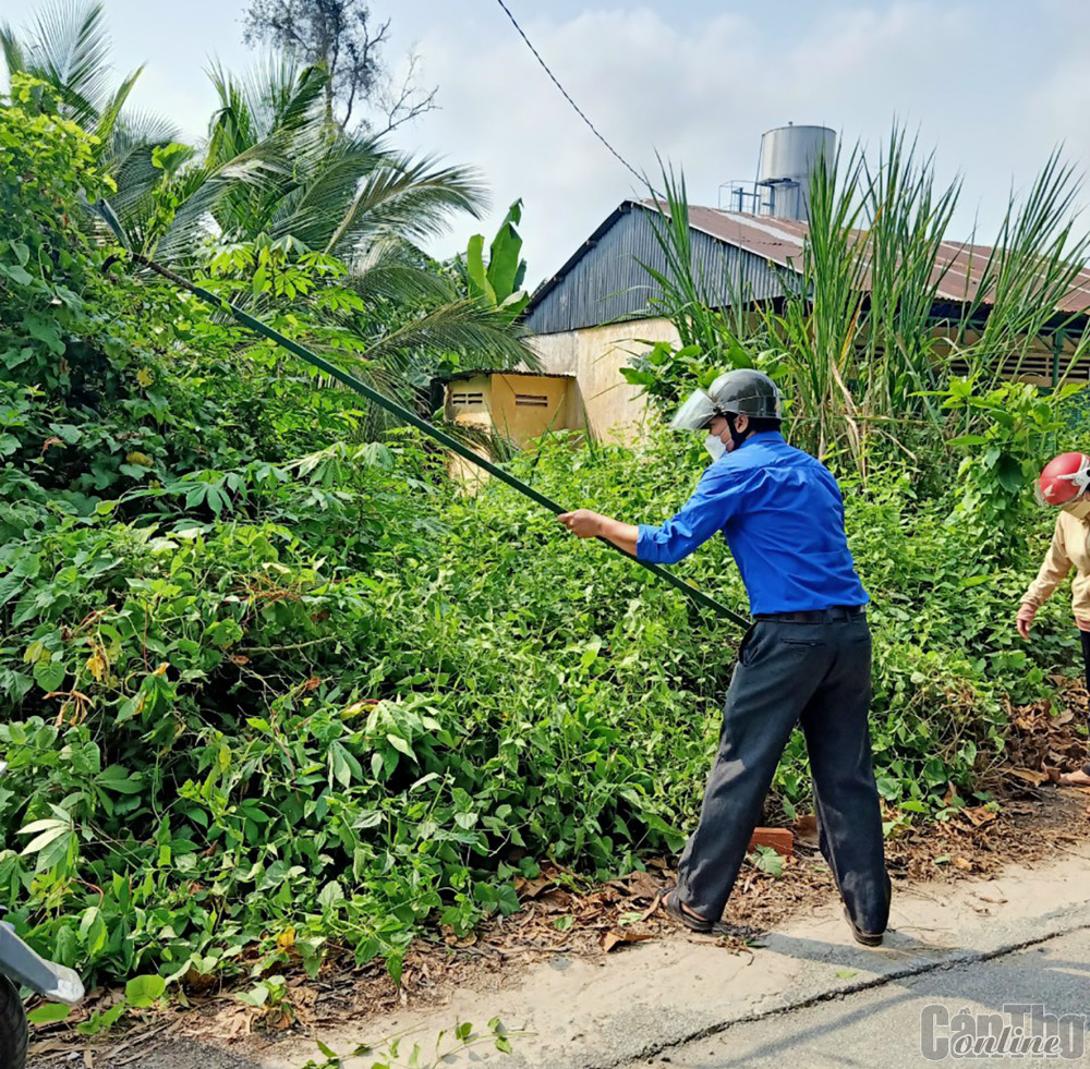 ĐVTN thị trấn Thạnh An phát quang bụi rậm, vệ sinh môi trường.