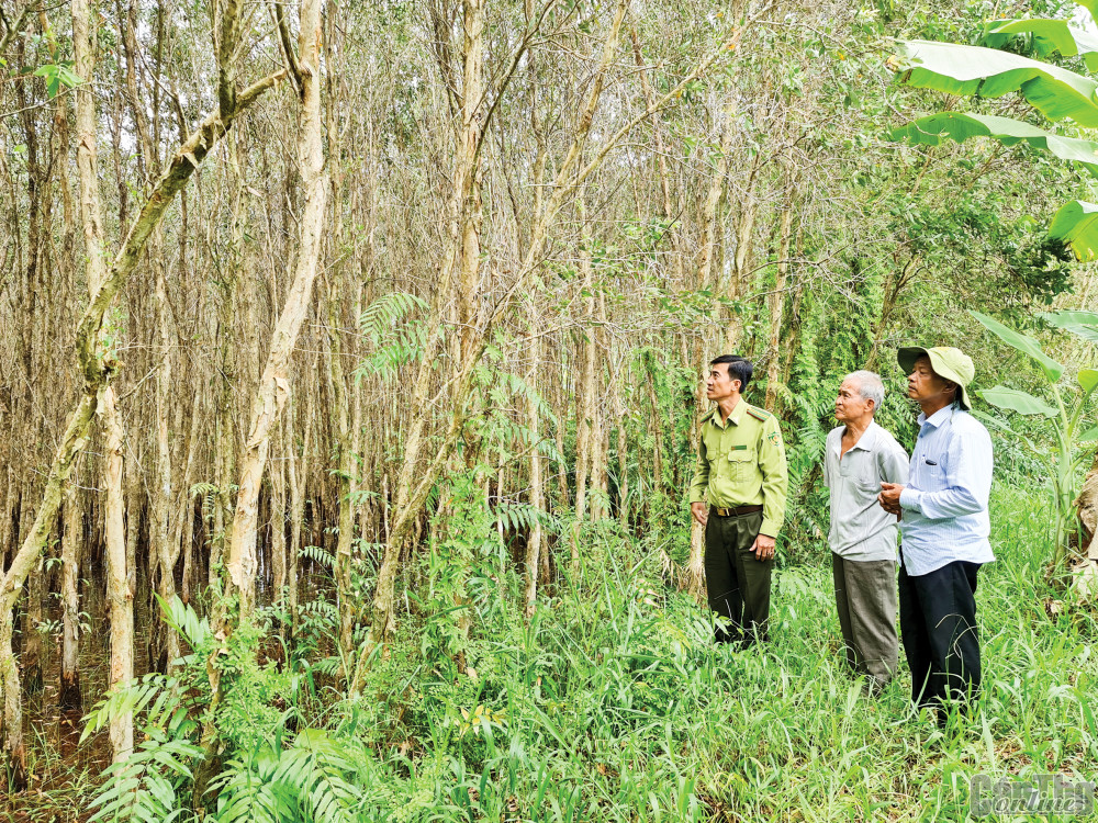 Ông Nguyễn Văn Thuần (bìa phải) trong một buổi tuần tra bảo vệ rừng.