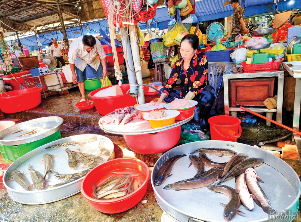 Các loại cá được bày bán tại chợ An Hòa.