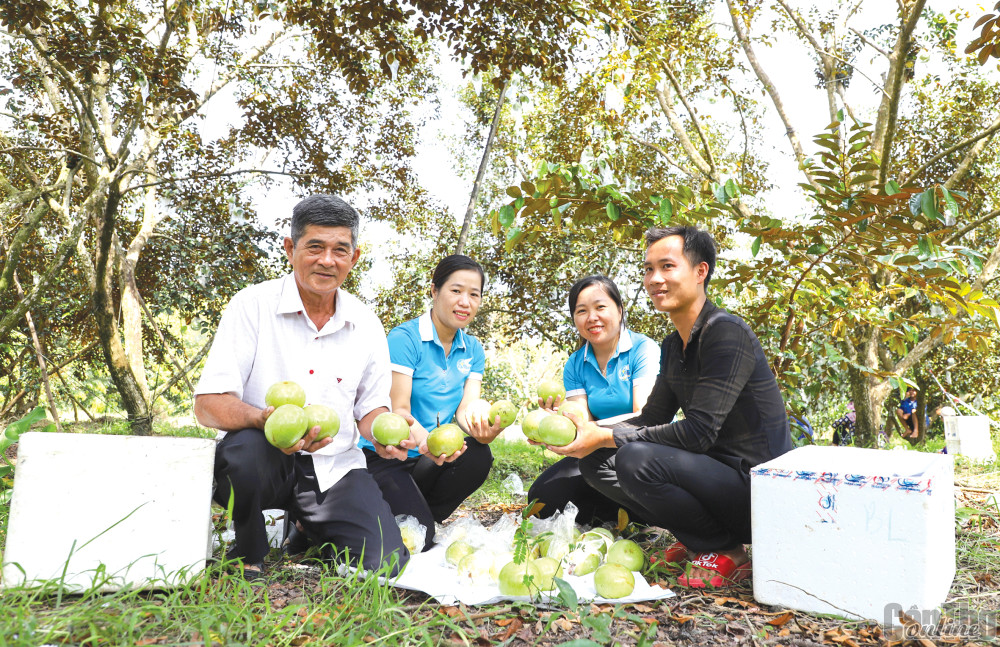 Lãnh đạo Hội LHPN huyện Phong Điền và Hội LHPN xã Trường Long thăm hỏi tình hình sản xuất tại HTX vườn cây ăn trái Trường Khương A (xã Trường Long).