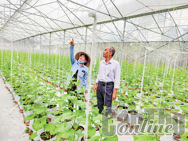 Nhiều "dư địa" cho phát triển nông nghiệp