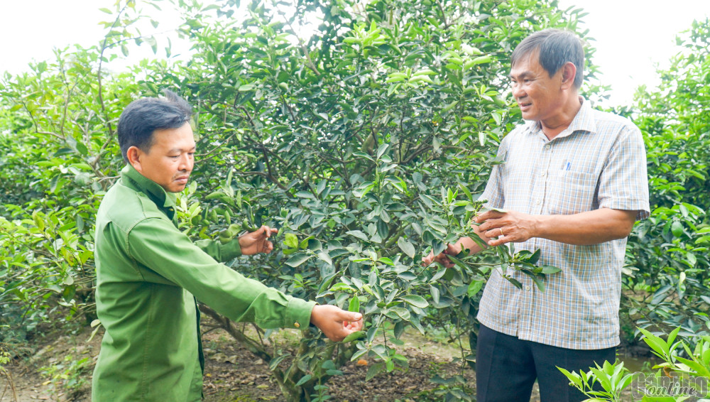 Anh Nguyễn Trường An, Bí thư Chi bộ, Trưởng ấp Trường Thọ (bên phải) gặp gỡ nông dân để nắm bắt nhu cầu, kịp thời hỗ trợ sản xuất.