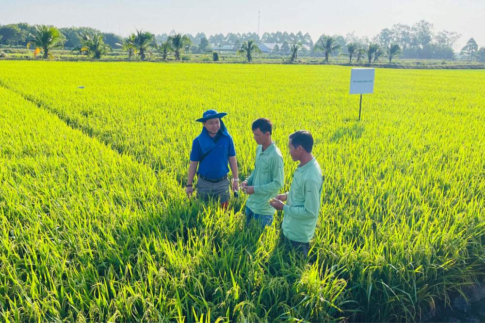 Hội thảo công nghệ tiên tiến trong canh tác lúa