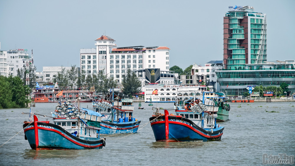 Cần Thơ - đô thị miền sông nước. Ảnh: DUY KHÔI