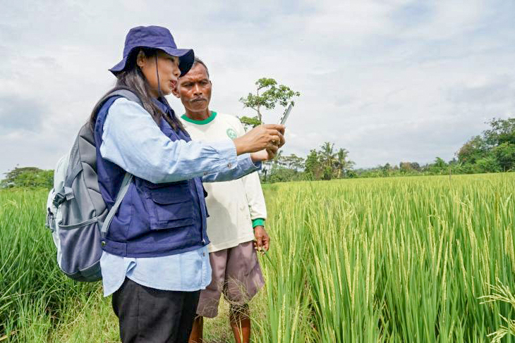 Một chuyên gia nông nghiệp hướng dẫn nông dân Indonesia thu thập dữ liệu qua ứng dụng di động. Ảnh: FAO