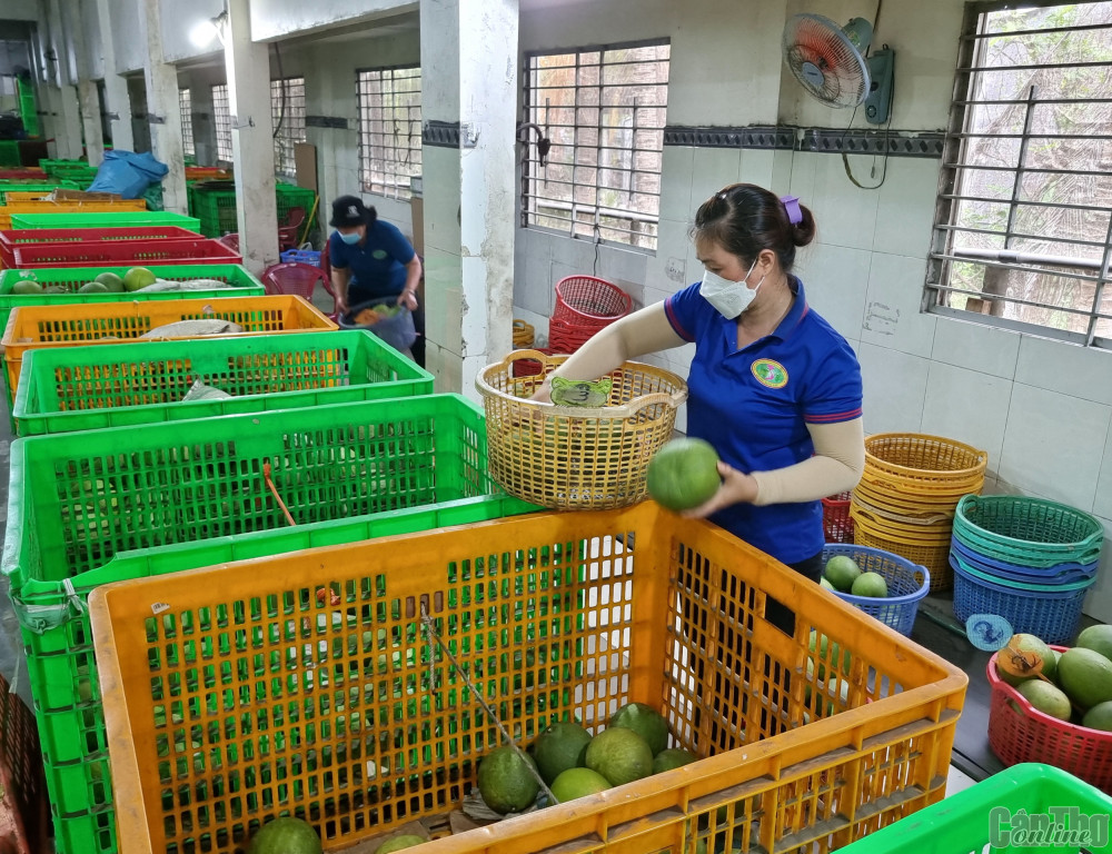 Thúc đẩy số hóa truy xuất nguồn gốc nông sản