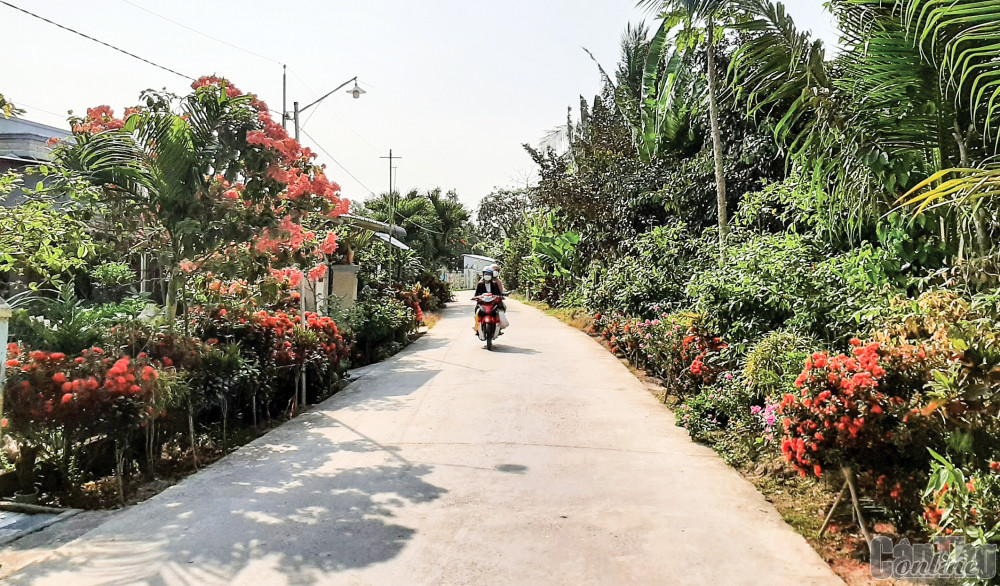 Nhiều tuyến đường ở xã Định Môn được bê tông khang trang, lắp đèn chiếu sáng, trồng hoa tạo cảnh quan xã nông thôn mới kiểu mẫu.