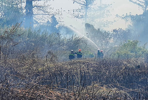 Khuyến cáo phòng ngừa cháy cỏ mùa nắng nóng