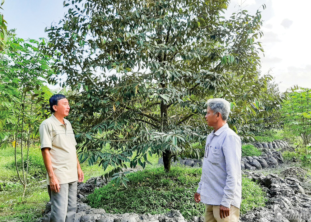 Đoàn kết xây dựng khu dân cư Cán bộ khu vực Thạnh Mỹ (bên phải) thăm hỏi tình hình sản xuất của người dân.