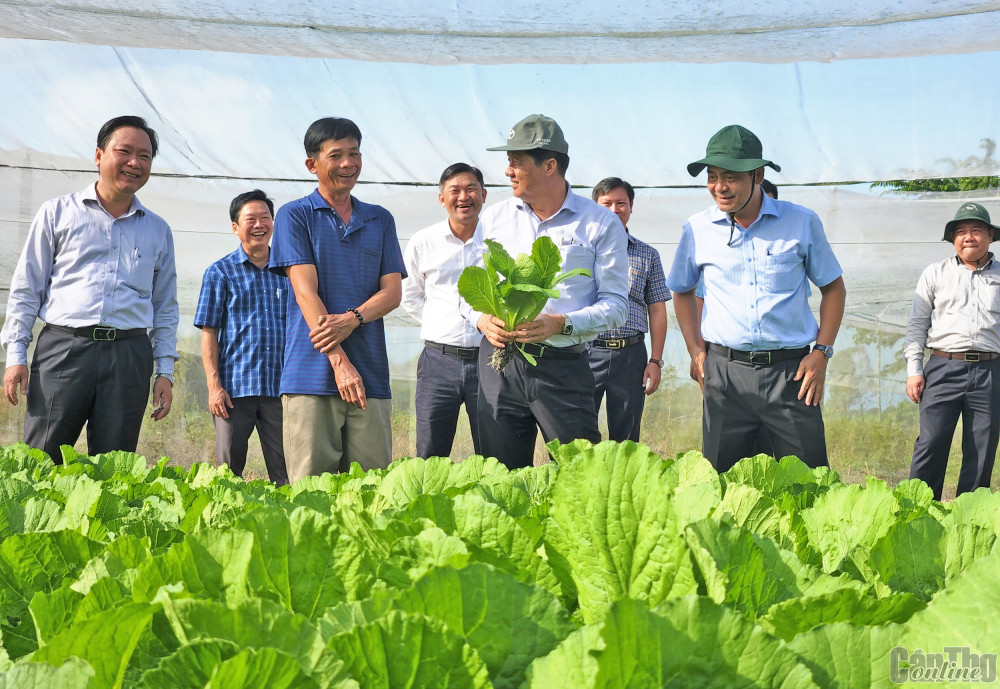 Đồng chí Phạm Văn Hiểu (thứ ba, hàng đầu, trái sang) thăm Tổ hợp tác Rau an toàn phường Hưng Thạnh. Ảnh: MỸ THANH