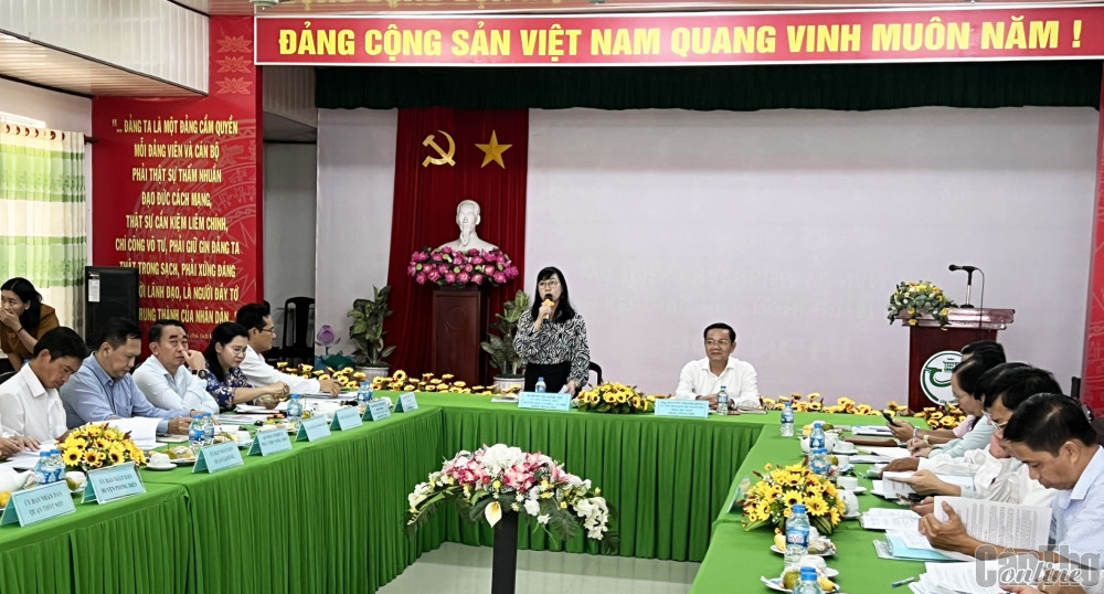 Bà Đinh Thị Minh Thư, Trưởng Ban Văn hóa - Xã hội HĐND thành phố, phát biểu tại buổi giám sát.