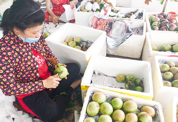 Nỗ lực hoàn thành “mục tiêu kép” trong xây dựng nông thôn mới