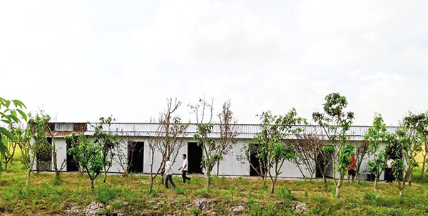 Trồng cây, cất nhà mới trong phạm vi thực hiện dự án đường cao tốc