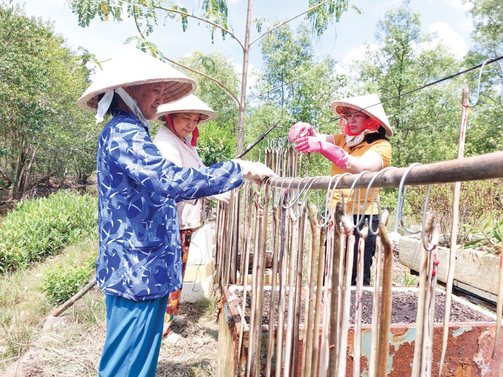 Chị Võ Hồng Đào (bên phải) lựa chọn làm khô cá lạc một nắng để phát triển kinh tế gia đình.