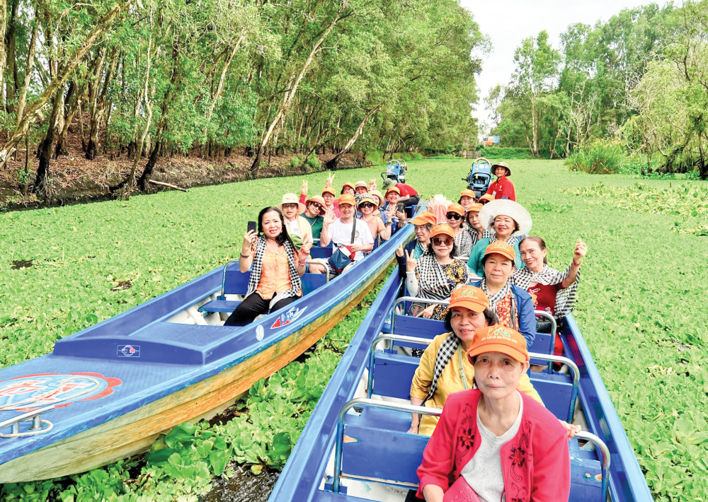 Rừng tràm Trà Sư.